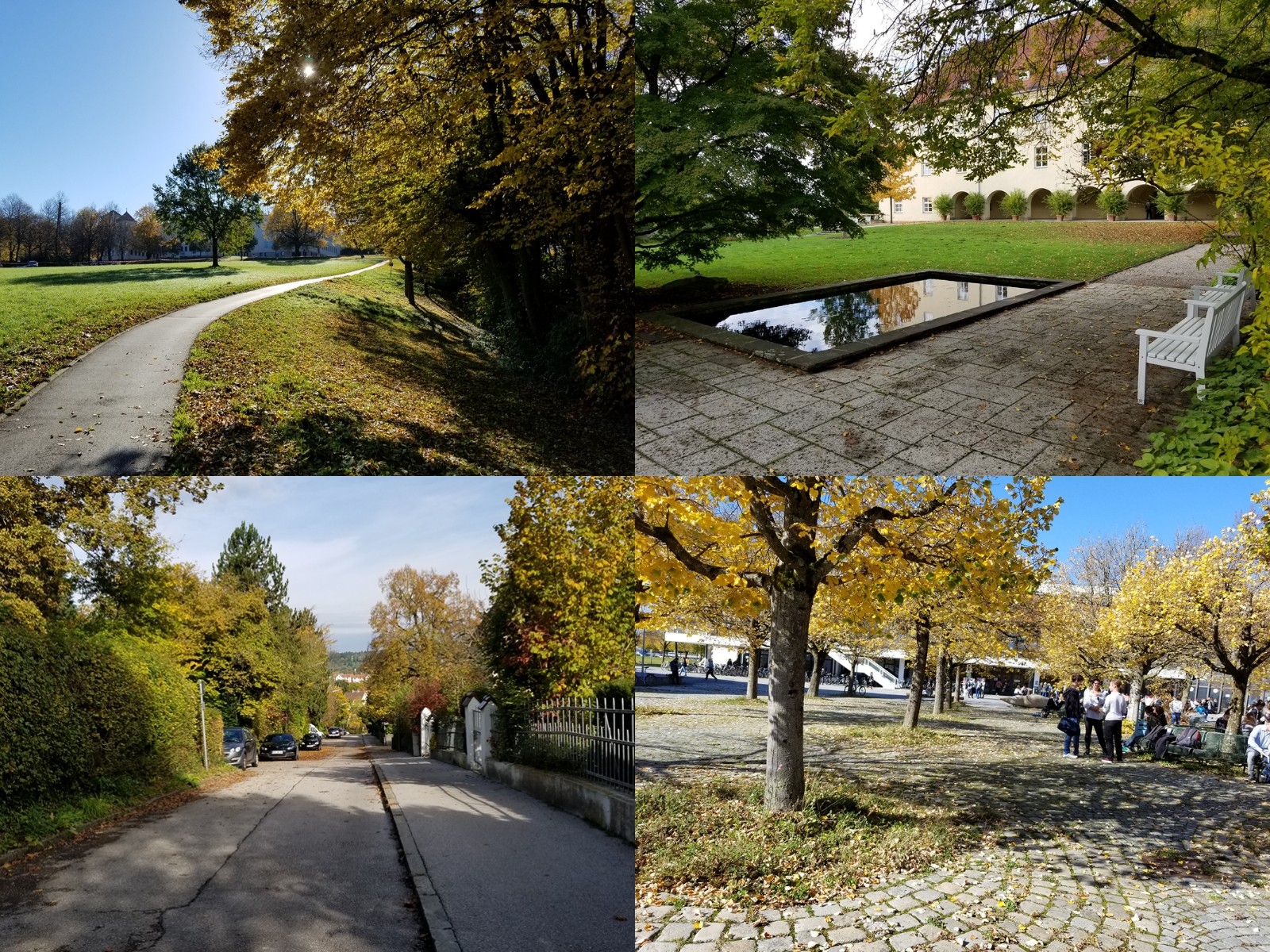 慕尼黑工业大学弗莱辛校区秋季风光