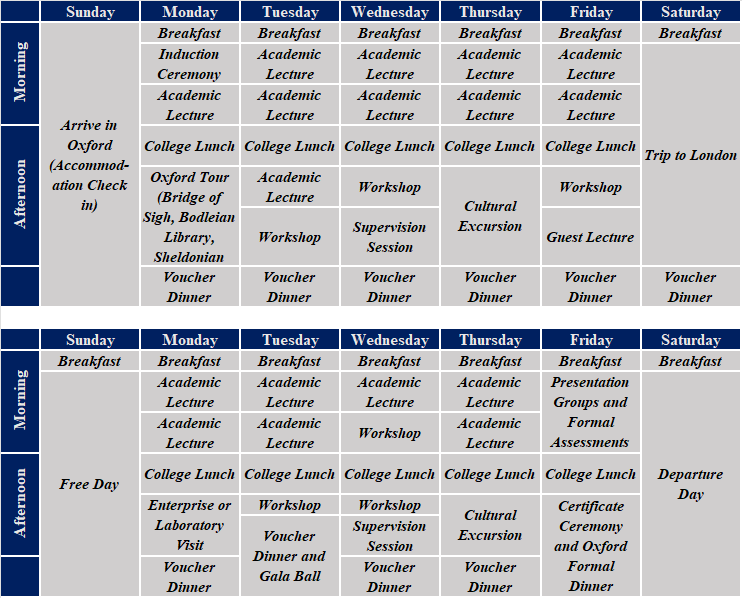 2026暑期项目暂定安排